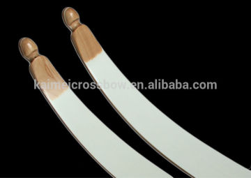 training recuve bow limbs