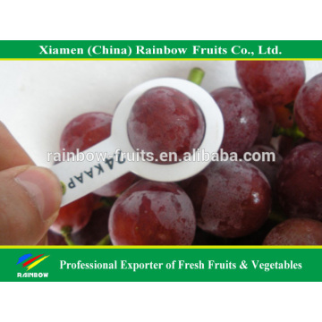 Sweet Fresh Grapes from yunnan China