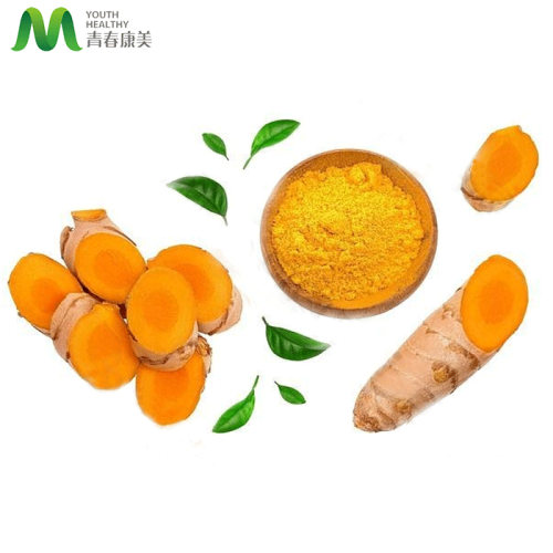Curcmin Powder Pharmacutical Grade Storng Product Best Price Curcumin 95% Extract Powder Factory