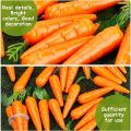 30Pcs Mini Easter Decor Carrots