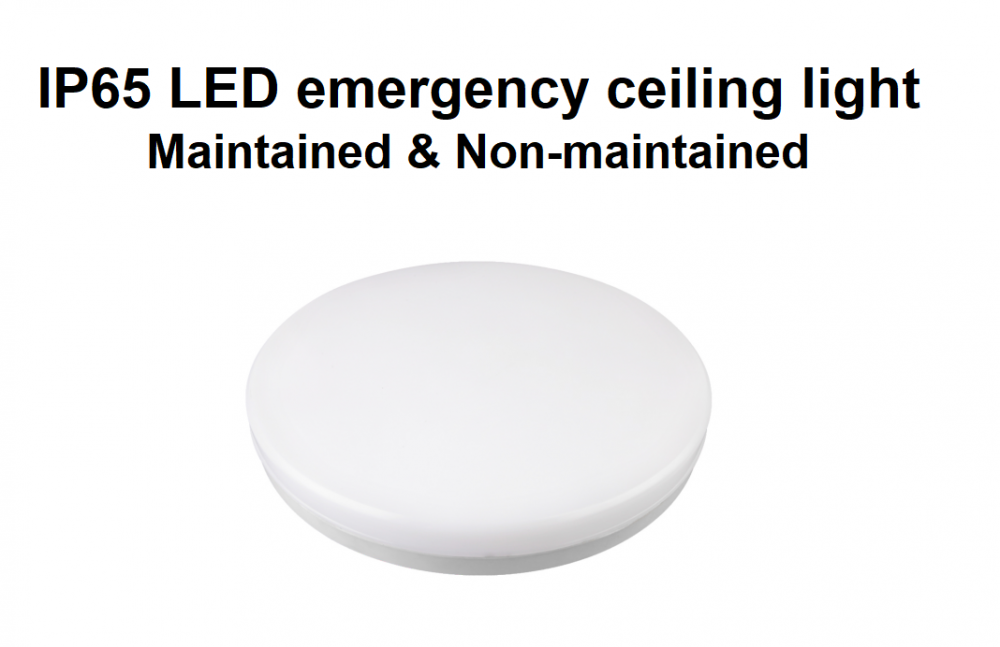 IP65 LED de emergência de teto de antepara