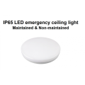 Emergencia de techo de mamparo LED IP65 LED