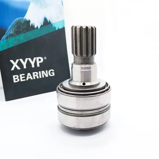 Shaft and Bearing Kit 21618-004