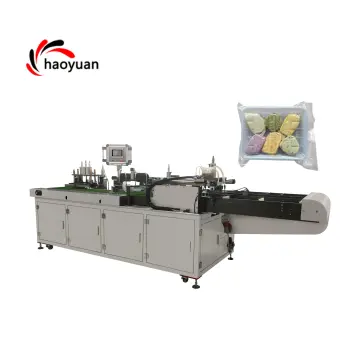 HYZK-100 Automatic Vacuum Packing Machine for Food - Commercial Bread Packing Machine