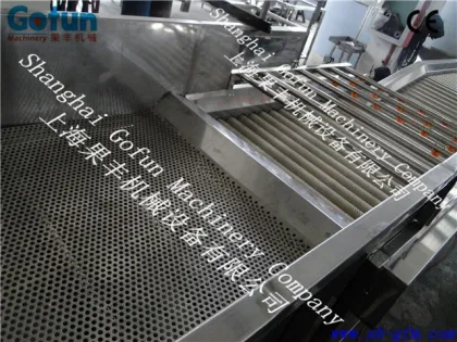 Fruit and Vegetable Brush Washing machine/food Brush cleaning machine/food processing machine