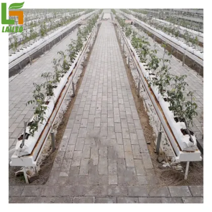 Gutter Support Hydroponics Tomato Greenhouse for Sale