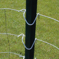 Najlepsza cena Steel Y Post Metal Fence Posts