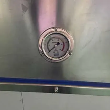 Vegetarian Smoked Salami and Sausage Production Line in Italy