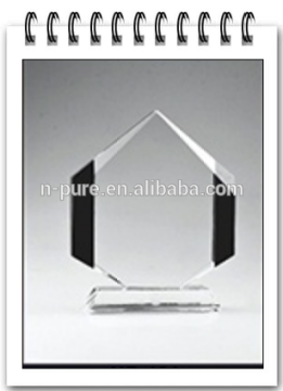k9 Customized shaped crystal blank trophy