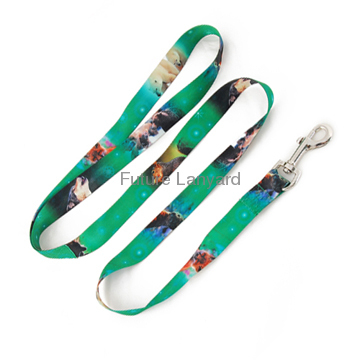Fashion heat transfer Polyester Dog Leash wholesale