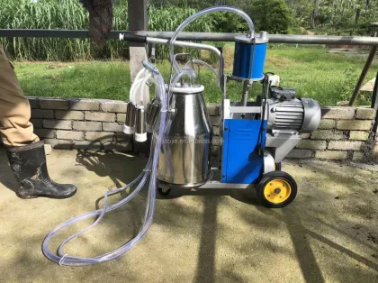 Dairy Milk Processing Machinery: Milking Machine for Cows