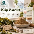 مسحوق مستخلص عشب البحر مع 20% - 50% من السكريات لمستحضرات التجميل والتركيبات الغذائية