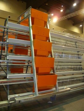 Egg Chicken Cages