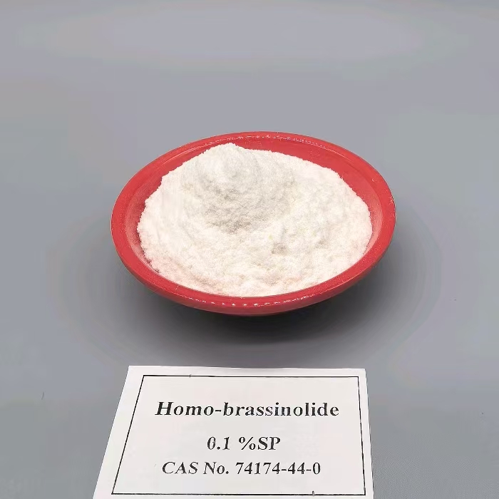 homo-brassinolide plant growth regulator auxin (22)