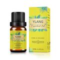 유기농 도매 10ml 100% 순수 천연 식물 추출물 OEM Ylang Ylang 에센셜 오일 용 에센셜 오일