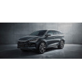 سيارات كهربائية عالية الجودة BYD EV