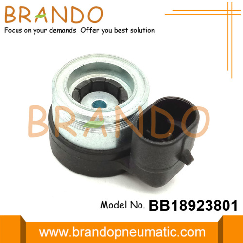 Bobina solenoide de 2 Ohm 12VDC para riel de inyector AEB