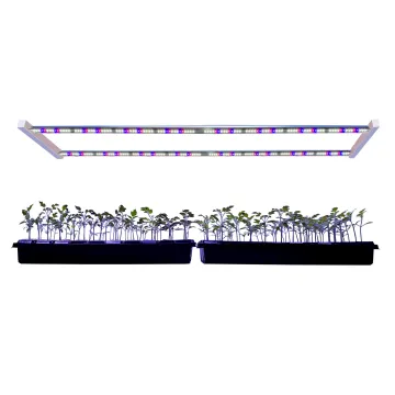 Full Spectrum Vertical Farm Hydroponics with LED Grow Lights for Clone Plants