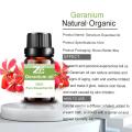 Factory Supply Natural Geranium Essential Oil for Skincare
