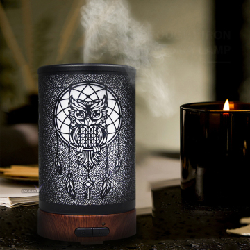 Owl Shaped Ultrasonic Humidifier with LED Lights - 100ml Capacity