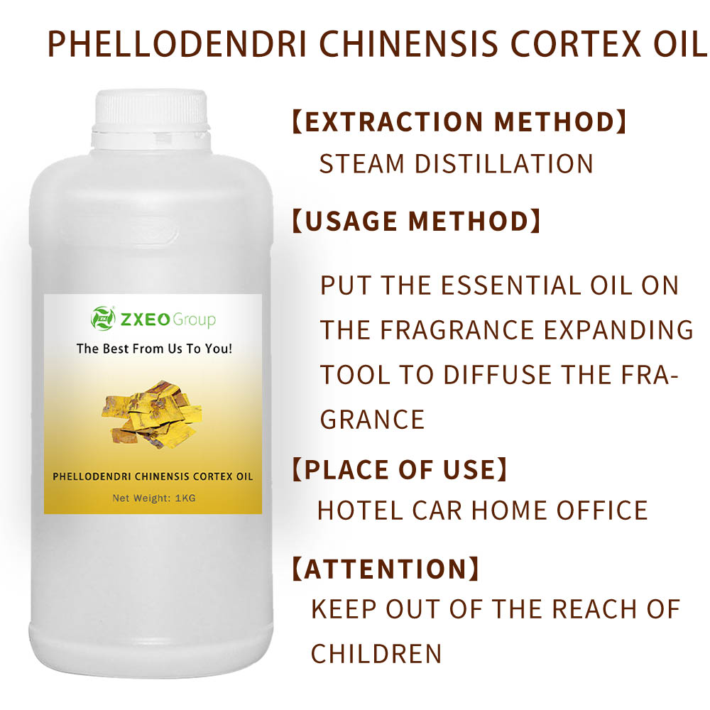 Minyak Ekstrak Murni Phellodendron Amurense Bark dan Cortex Phellodendri Oil