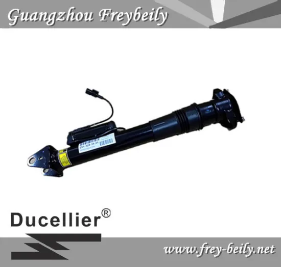 Mercedes Benz Rear with ADS Air Suspension Shock W2513201931