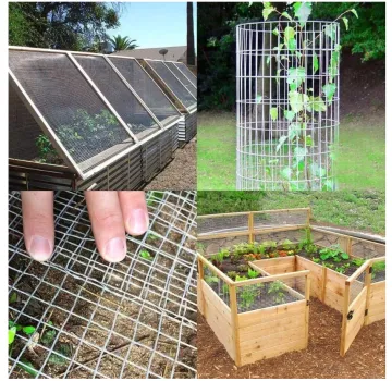 galvanized welded wire mesh for dog cage