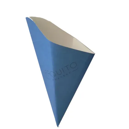 French Fries Cone with Sauce Container