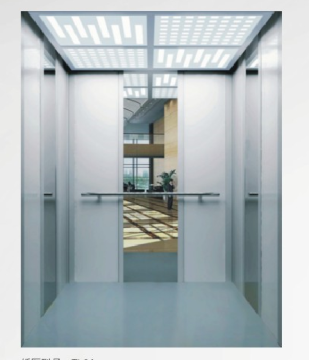 Passenger Elevator with Stainless Steel Meshing