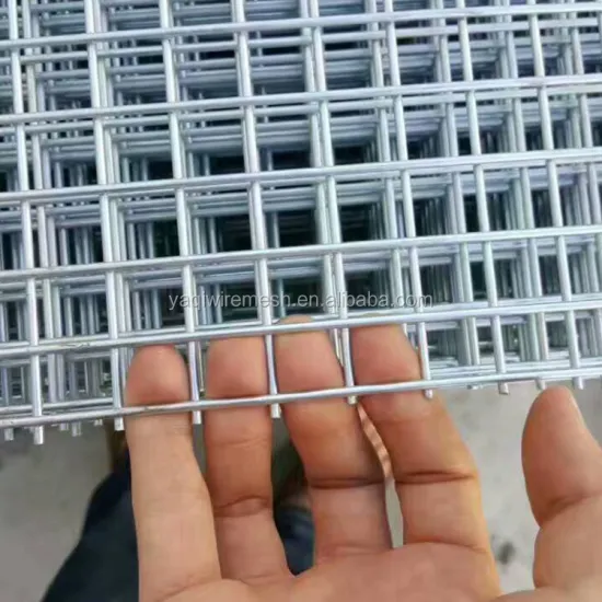 3.0mm Hot Dip Galvanized Welded Wire Mesh Panel