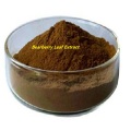 Factory price arctostaphylos Bearberry Leaf Extract powder