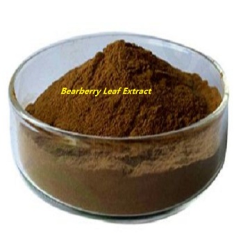 Factory price arctostaphylos Bearberry Leaf Extract powder