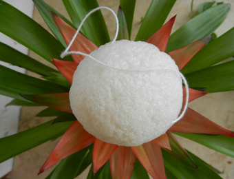 facial natural vegetable konjac sponge