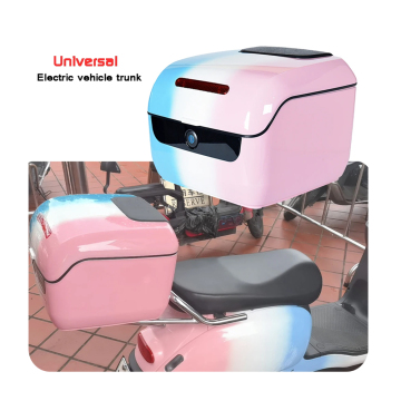 Universal Electric Vehicle Trunk Battery Storage Box - Emma Dailing Original Toolbox