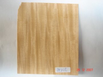 Prima vera veneer