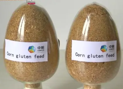 Corn gluten dog food