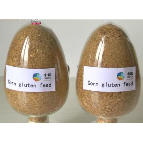 Corn gluten feed rations