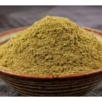 Directly Competitive Prices 100% Natural Chrysanthemi Indici Flos P. E