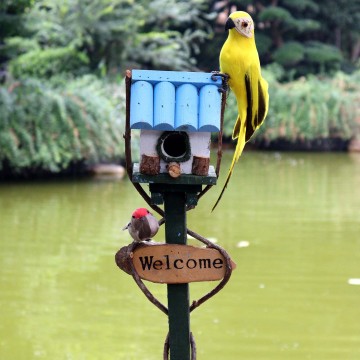 Large Outdoor Bird Feeder Stand: An Eco-Friendly Bird Feeding Station for Food Storage and Attraction
