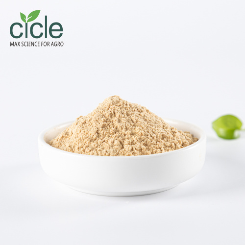 Nature Tea Saponin Powder