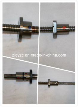 Ball Screw (SFK Series)
