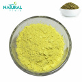 Sophora Japonica Extract Health Care Product Quercetin Dihydrate Powder Factory