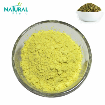 Health Care Product Quercetin Dihydrate Powder