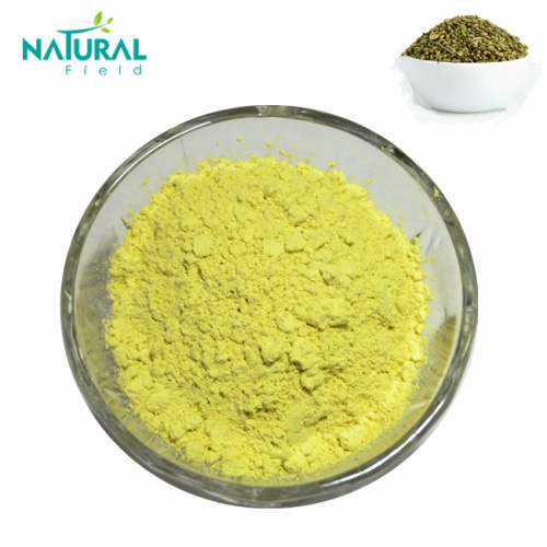 Sophora Japonica Extract Health Care Product Quercetin Dihydrate Powder Factory