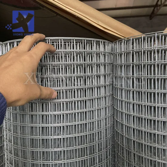 Custom Factory Stainless Steel 304 Welded Wire Mesh 1x1, 4x4, 2x2