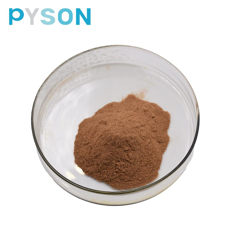 استخراج الثوم الأسود S-ally-l-cysteine≥0.1٪