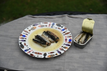 170g Canned Sardine Fillet In Soybean Oil Europe