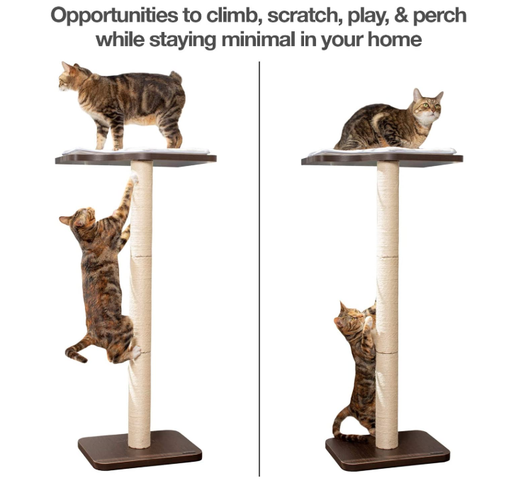 Cat Scratching Posts