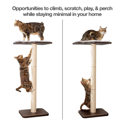 Cat Tree Scratching Posts