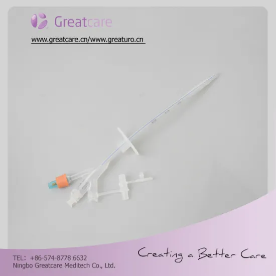 Gastrostomy Feeding Tube